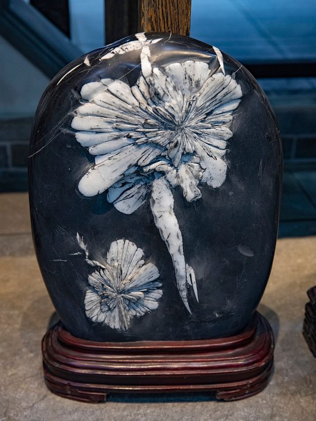 上海遊龍石文化科普館