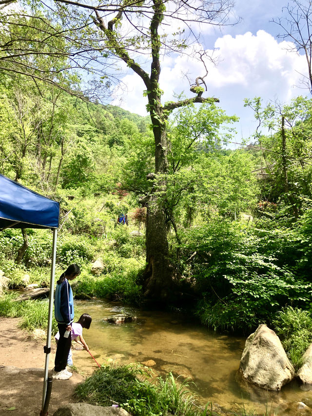 十八潭風景區（湖北大悟）
