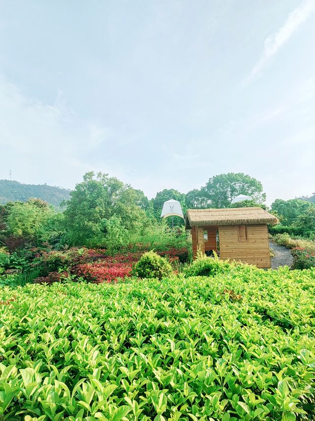 義烏瘋狗露營基地，名字奇特，風景秀麗