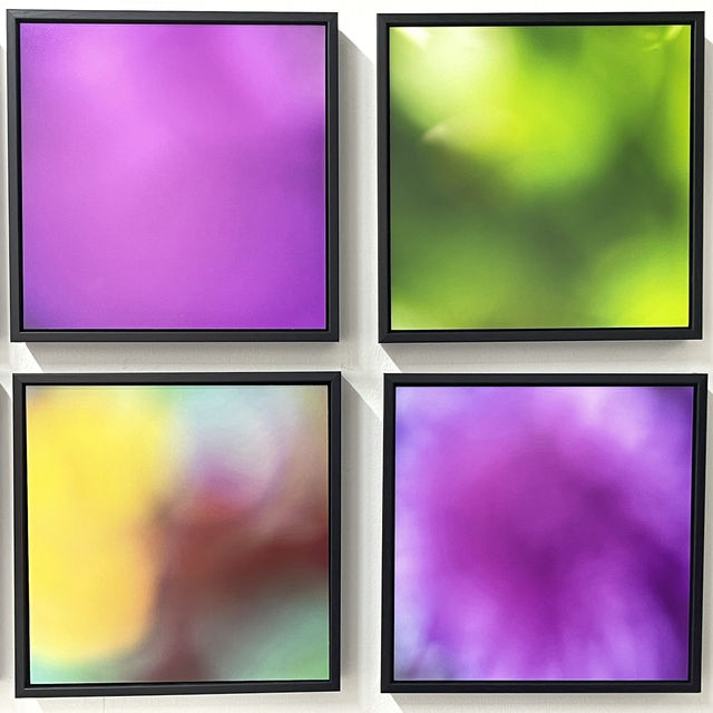 海上風 · 攝影展第1季