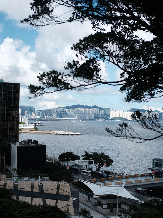 香港新晉網紅打卡地，訊號山花園漫步很chill