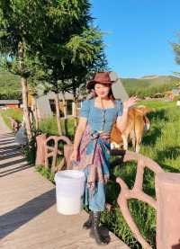 在神仙谷七彩森林牧場體驗一把牧民生活