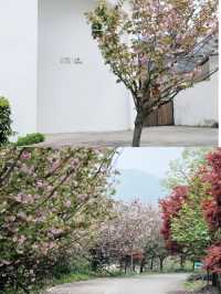 山頂露營泡湯住進800年古村