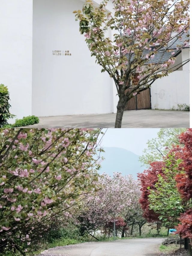 山頂露營泡湯住進800年古村