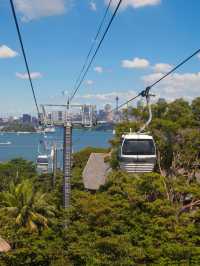 🌟 Sydney's Top Family-Friendly Attractions Unveiled 🌟