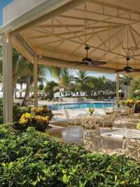 🌴 Palm Beach Paradise: Top Hotel Picks! 🏖️
