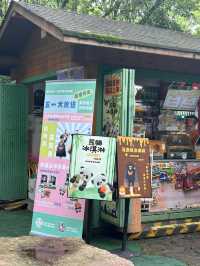 杭州citywalk虎跑公園，動物園，兒童樂園