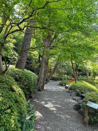 東京小眾景點|最詩意的八芳園