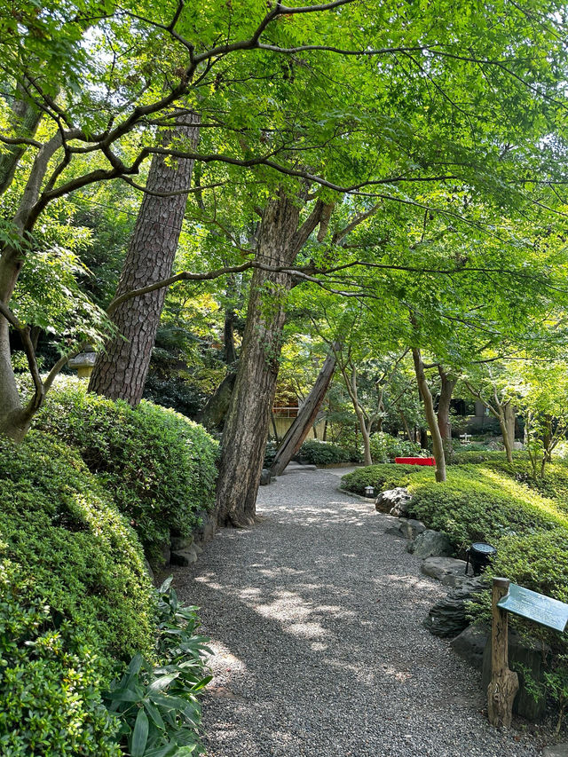 東京小眾景點|最詩意的八芳園