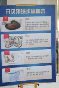 哎呀，一個暑假都沒有出湖州
