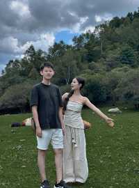 關山牧場我的阿勒泰