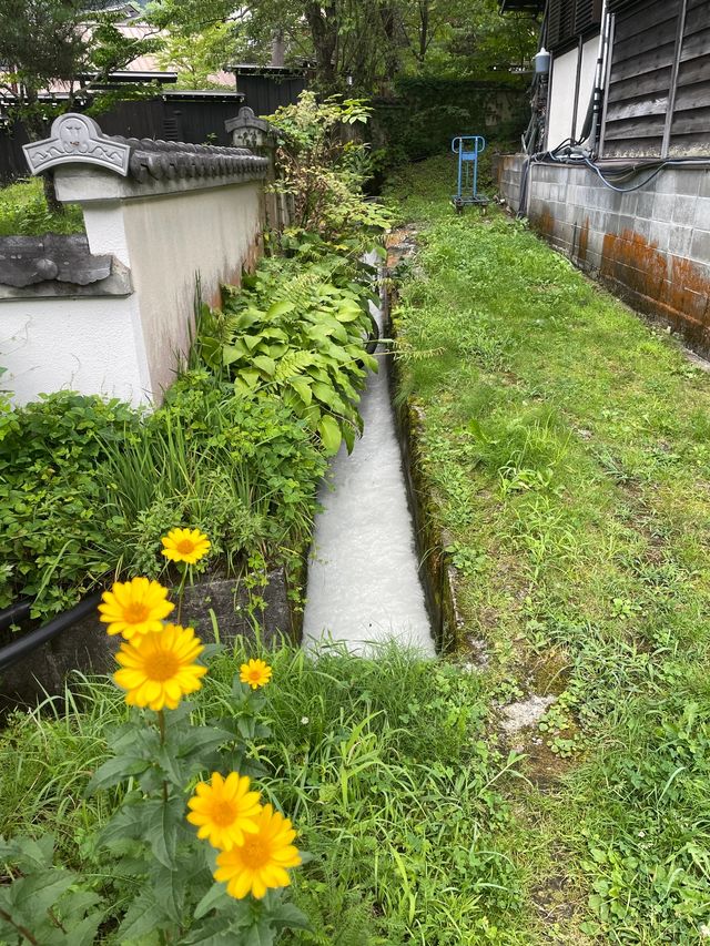 山桜庵：高山溫泉鄉的和洋式風情，飛驒牛與硫磺溫泉的雙重享受