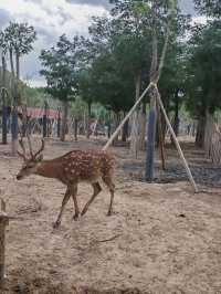 歸野之境的動物樂章，蘭州野生動物與自然共舞