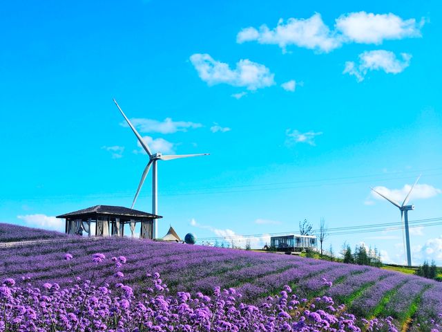 貴陽有自己的“阿勒泰”----雲頂高坡