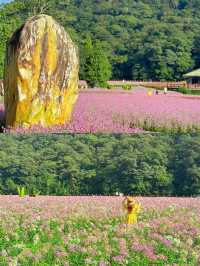 石門國家森林公園，尋覓天然的氧氣樂園。