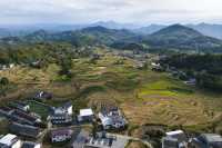 世界灌溉工程遗產鳳堰梯田迎來豐收季。