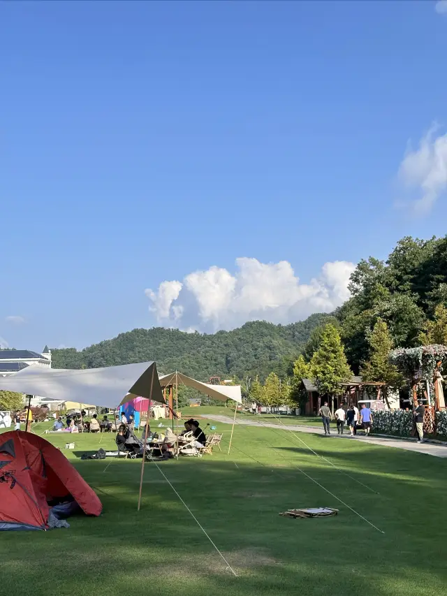 Two Days and One Night in Luoyang: Forest Deep Breath (Electric Car Self-Drive Edition)