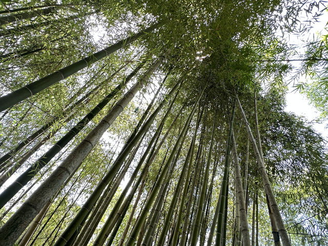 連城冠豸山寶藏民宿。