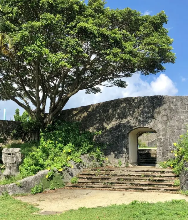 Okinawa | Northern Easy Day Trip (with Route) 𓆡𓆝.