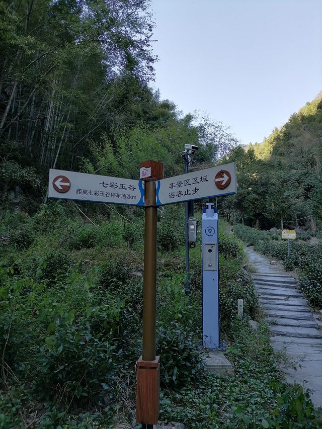 徒步榉根嶺古道丨千年古道丨國慶節避擁遊玩的好地方。