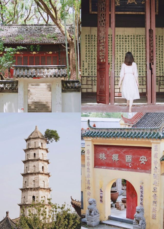 感受歷史的沉澱—東坡赤壁遊記。 感受歷史的沉澱—東坡赤壁遊記。