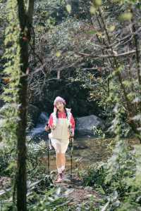 杏梅尖行山遊山野，在大自然中放大感知力。