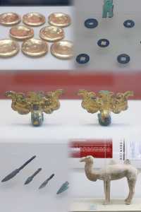 趕上夕陽的尾巴，欣賞粉黛花海。