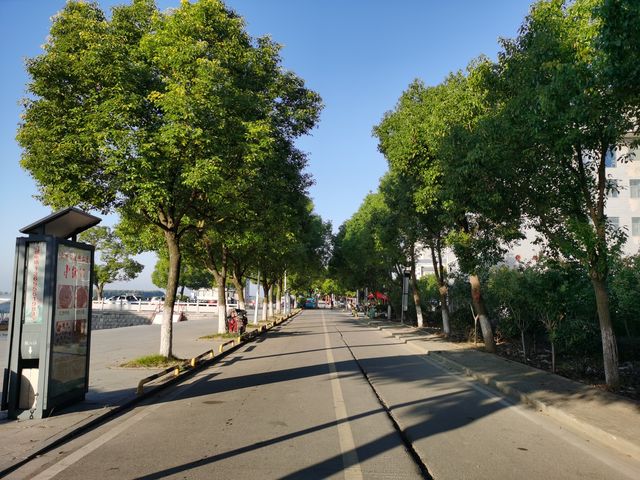 焦崗湖小記。