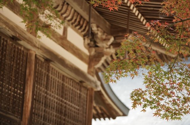 名古屋周邊｜上高地封山也能進噢。
