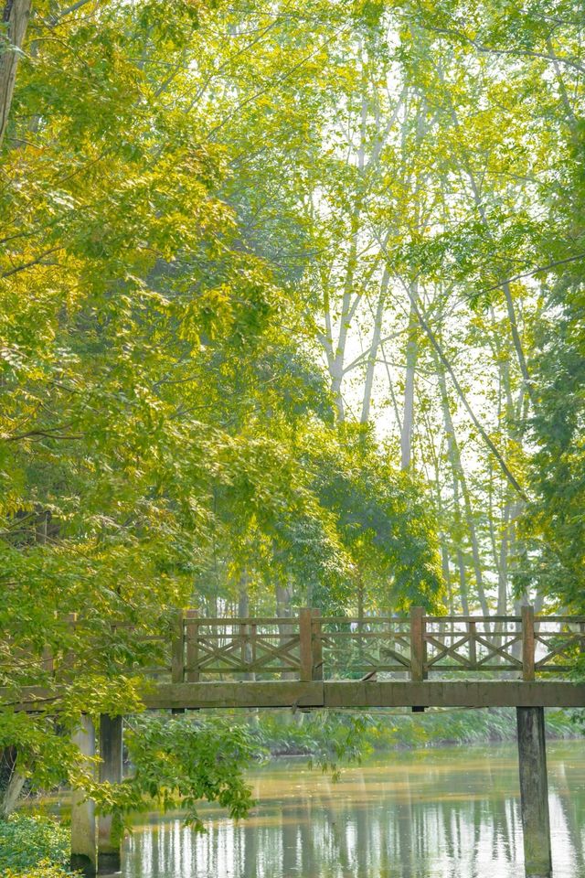 自駕崇州一日遊：賞彩林、嚐美食，打卡凡塔夕。