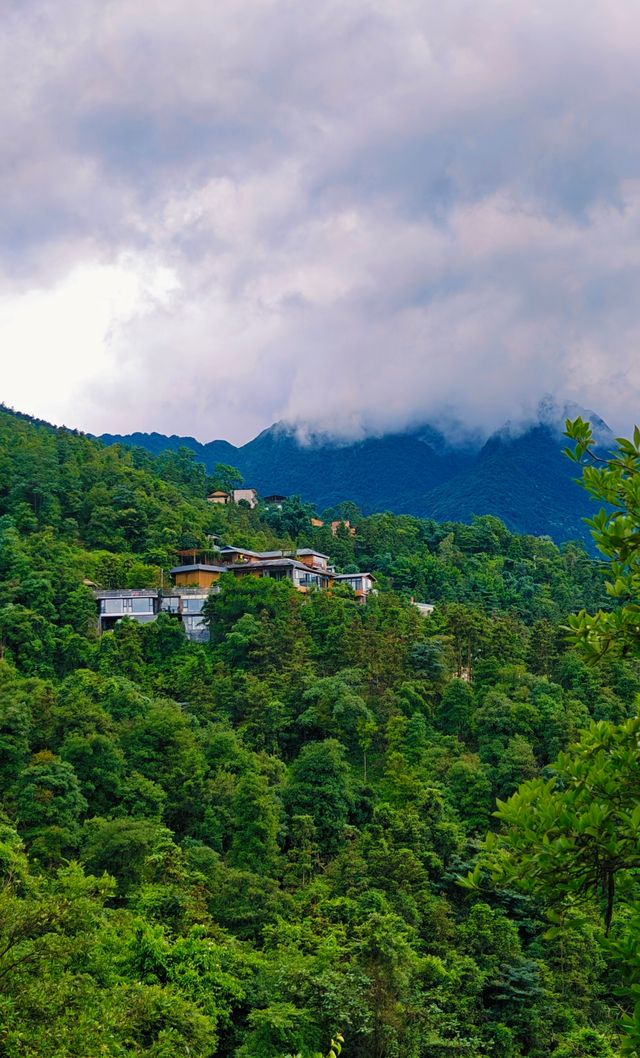 被熱捧的山頂民宿｜南寧周邊。