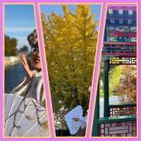 Top 3 Places to go in China 