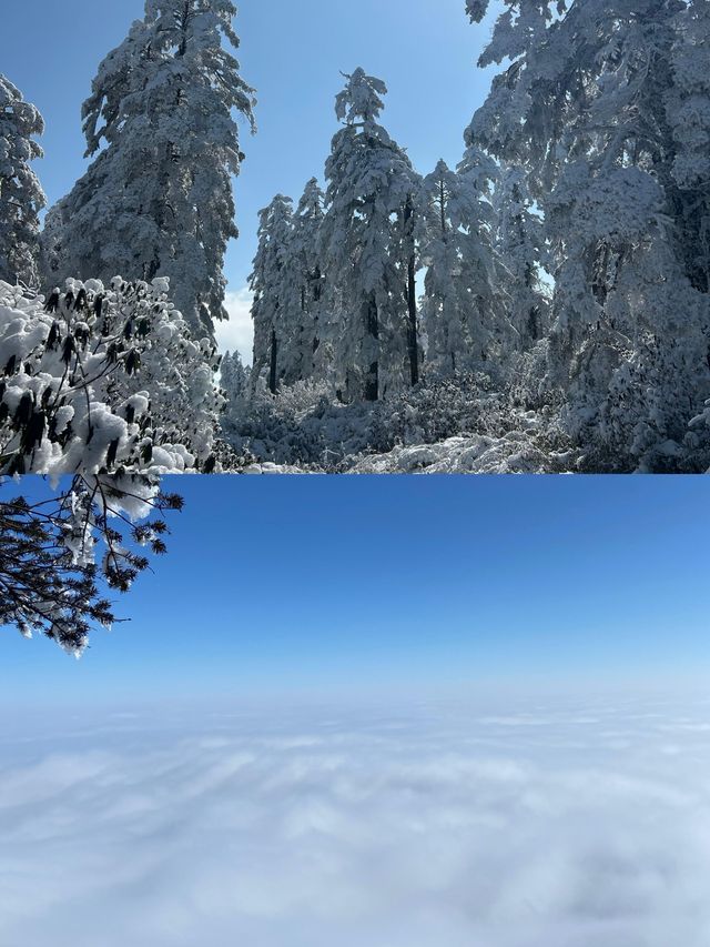 【探秘四川瓦屋山】 一場自然與歷史的盛宴！。