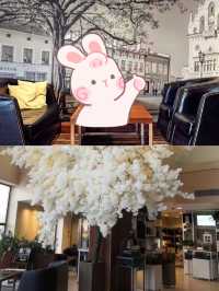 熱舒夫希爾頓花園酒店：夢幻~璀璨的邂逅等你來探索。