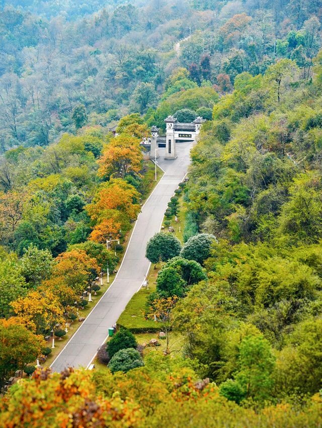 鄂州，從武漢自駕1小時直達的千年古韻歷史小城遊玩攻略。