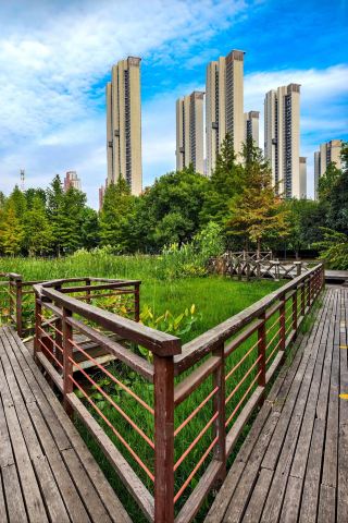 Jiangwan Wetland Park, Qingshan District, Wuhan, Hubei Province