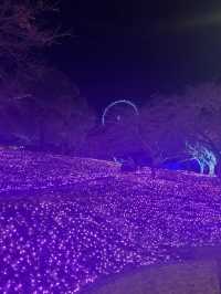 Visited the Sagamiko Light Show!!