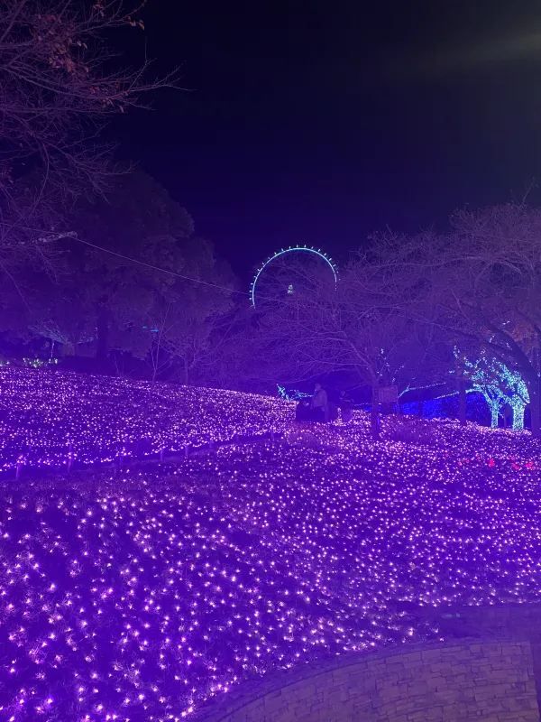 Visited the Sagamiko Light Show!!