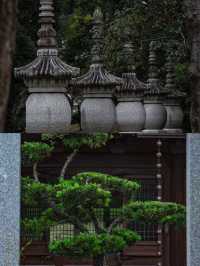 來武義，一定不要錯過這個季節的延福寺