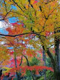 京都紅葉季最不能錯過的地方—常寂光寺