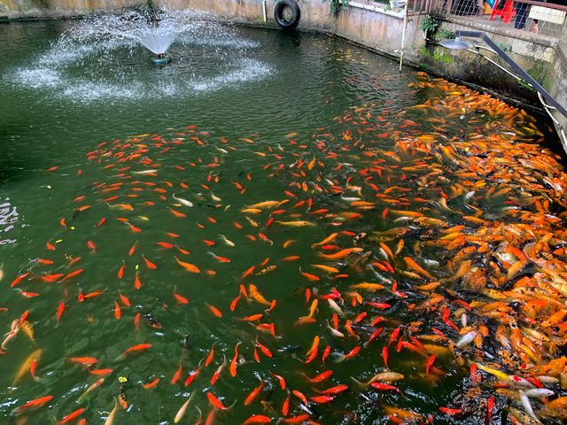 欽州六峰山探秘之旅：一步一景，盡攬風華