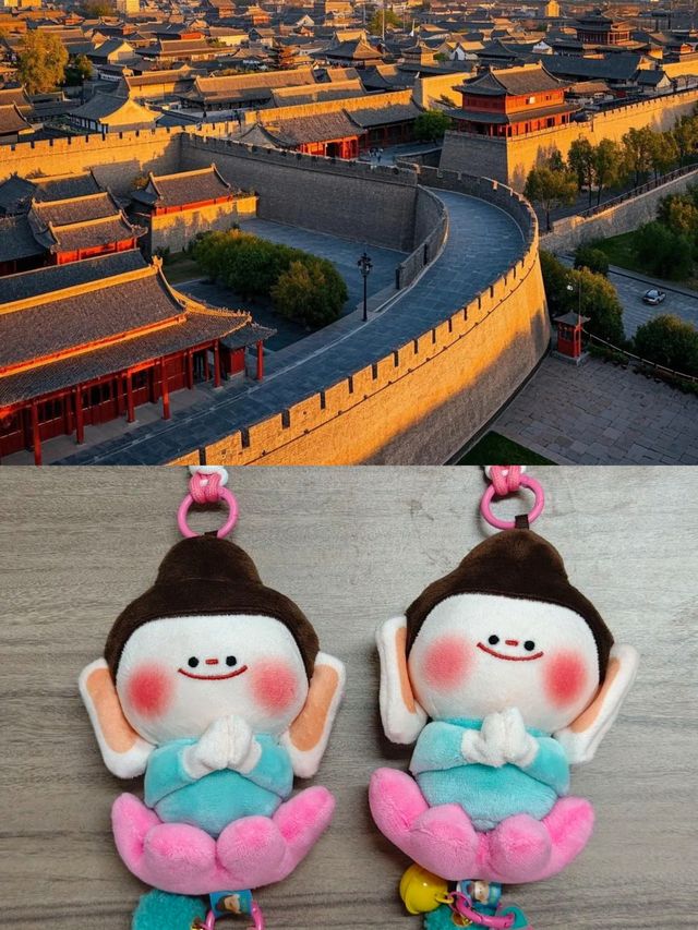 楠舍！大同一家寵物友善且溫馨的民宿！