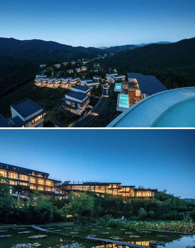 湖州·慧心谷承包整片茶山的全景別墅酒店
