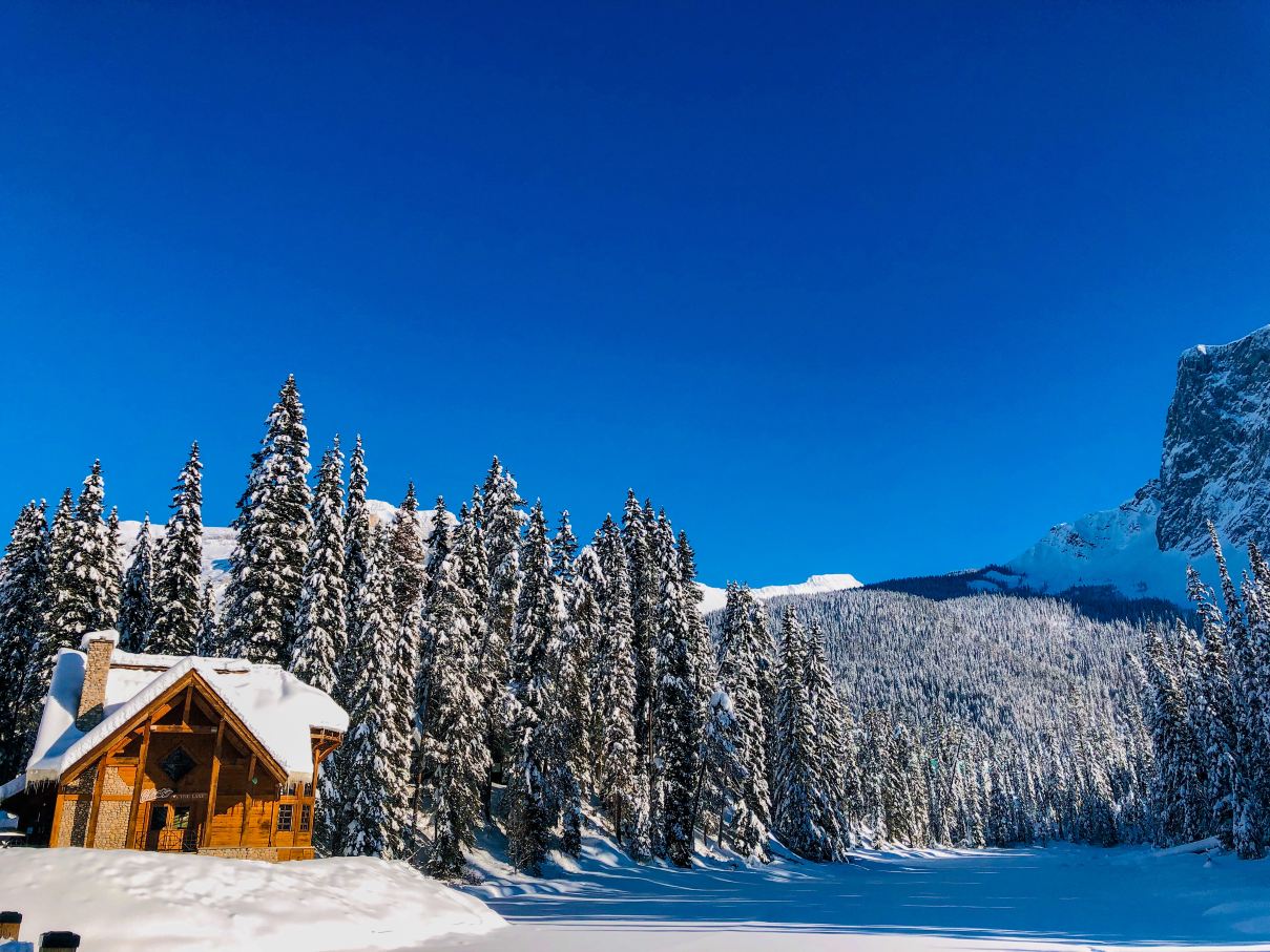 2026 Recommended Snow viewing in Banff Avenue (Updated October