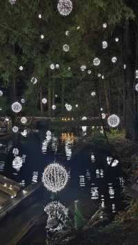 Capilano Suspension Bridge Park's Light Show