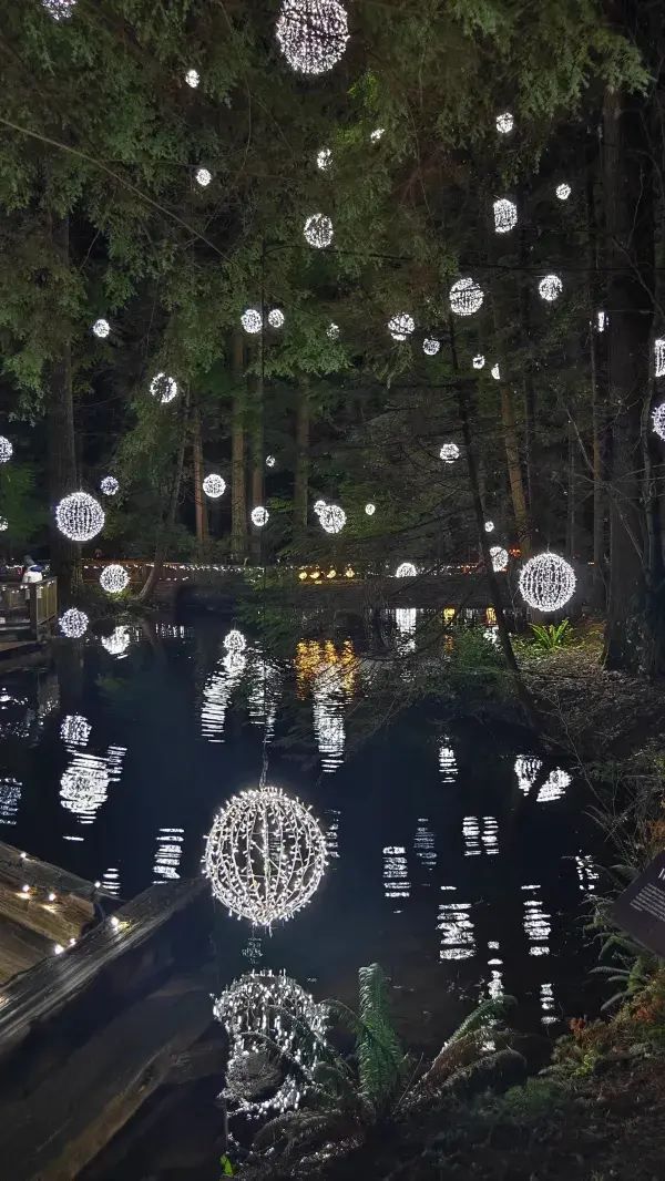 Capilano Suspension Bridge Park's Light Show