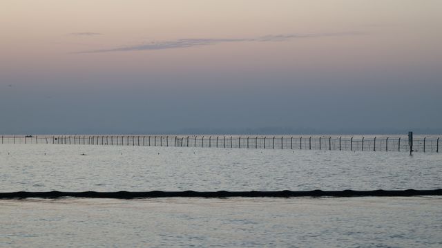 東湖日出
