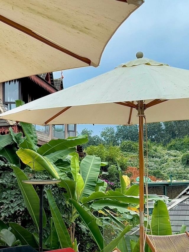西雙版納景洪素隱伴山