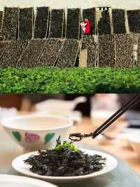 冬日勝景 福滿八閩|這個冬天來福建嚐鮮！