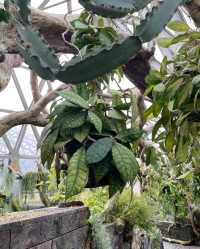 辰山植物園,邂逅自然之美